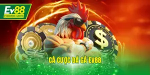 Cá Cược Đá Gà EV88 - Nhận Ngay Thưởng Hoàn Trả Tới 3%