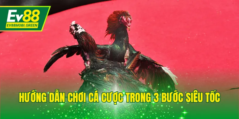 Hướng dẫn chơi cá cược trong 3 bước siêu tốc